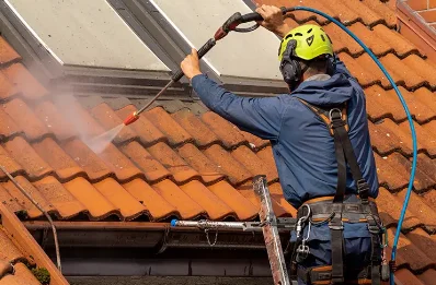 Démoussage et hydrofuge de toiture à Hagenbach